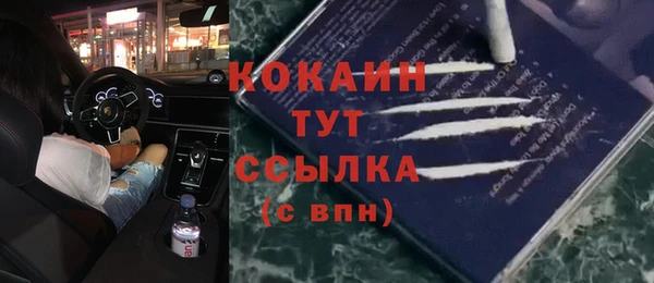трава Абаза