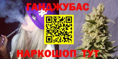 прущие грибы Чебоксары